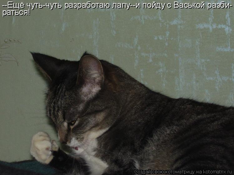 --Ещё чуть-чуть разработаю лапу--и пойду с Васькой разби- раться!... Котоматрица: --Ещё чуть-чуть разработаю лапу--и пойду с Васькой разби- раться!