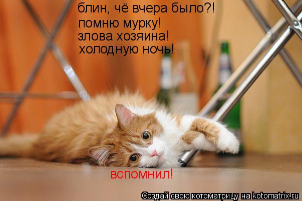 блин, чё вчера было?! помню мурку! злова хозяина! холодную ночь! вспомнил!... Котоматрица: блин, чё вчера было?! помню мурку! злова хозяина! холодную ночь! вспомнил!
