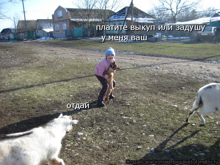 у меня ваш отдай платите выкуп или задушу... Котоматрица: у меня ваш отдай платите выкуп или задушу