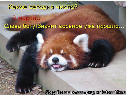 Какое сегодня число? 9 марта... Слава богу!Значит восьмое уже прошло...... Котоматрица: Какое сегодня число? 9 марта... Слава богу!Значит восьмое уже прошло...