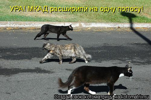 Котоматрица: УРА! МКАД расширили на одну полосу!