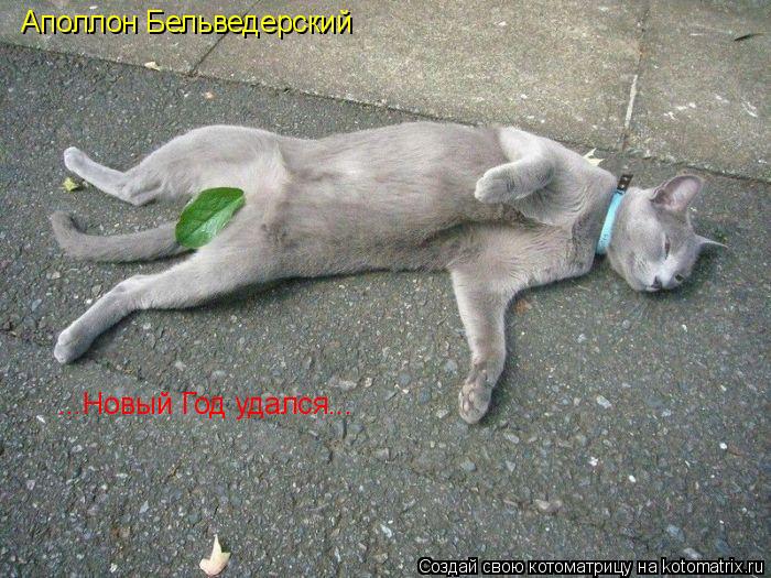 Аполлон Бельведерский ...Новый Год удался...... Котоматрица: Аполлон Бельведерский ...Новый Год удался...