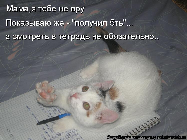 Мама,я тебе не вру а смотреть в тетрадь не обязательно.. Показываю же - "получил 5ть"...... Котоматрица: Мама,я тебе не вру а смотреть в тетрадь не обязательно.. Показываю же - "получил 5ть"...