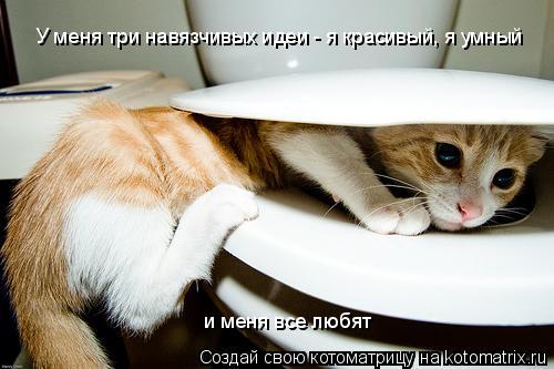 У меня три навязчивых идеи - я красивый, я умный и меня все любят... Котоматрица: У меня три навязчивых идеи - я красивый, я умный и меня все любят