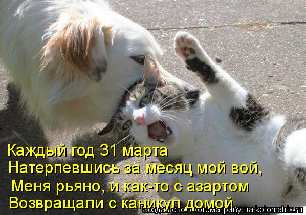 Натерпевшись за месяц мой вой, Каждый год 31 марта Меня рьяно, и как-то с азартом Возвращали с кани... Котоматрица: Натерпевшись за месяц мой вой, Каждый год 31 марта Меня рьяно, и как-то с азартом Возвращали с каникул домой.