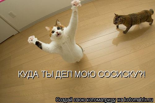 КУДА ТЫ ДЕЛ МОЮ СОСИСКУ?!... Котоматрица: КУДА ТЫ ДЕЛ МОЮ СОСИСКУ?!