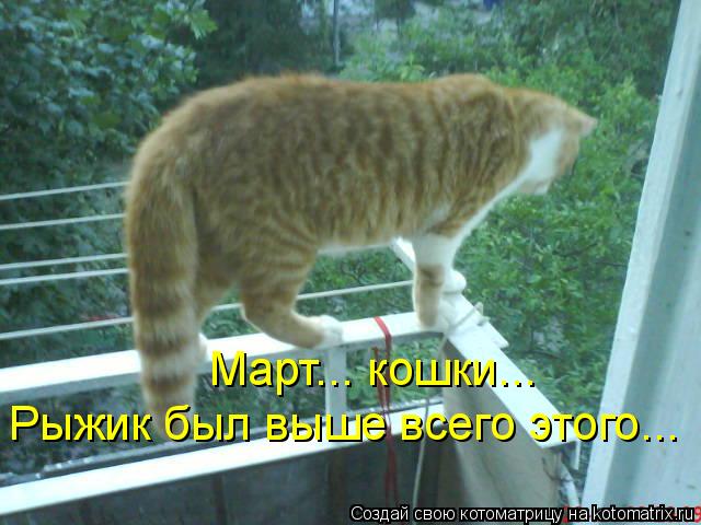 Март... кошки... Рыжик был выше всего этого...... Котоматрица: Март... кошки... Рыжик был выше всего этого...