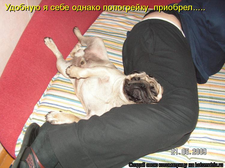 Удобную я себе однако попогрейку приобрел........ Котоматрица: Удобную я себе однако попогрейку приобрел.....