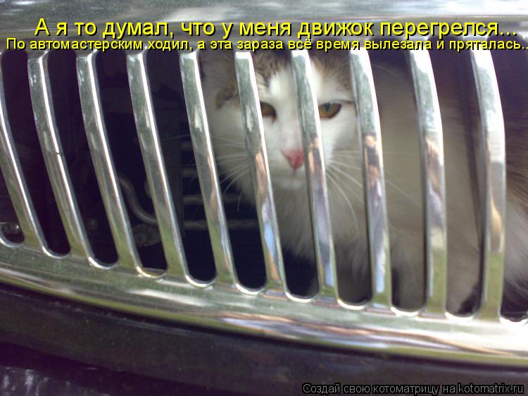 А я то думал, что у меня движок перегрелся... По автомастерским ходил, а эта зараза всё время вылезал... Котоматрица: А я то думал, что у меня движок перегрелся... По автомастерским ходил, а эта зараза всё время вылезала и пряталась...