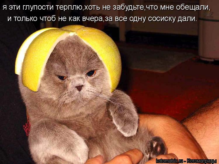 я эти глупости терплю,хоть не забудьте,что мне обещали, и только чтоб не как вчера,за все одну сосиск... Котоматрица: я эти глупости терплю,хоть не забудьте,что мне обещали, и только чтоб не как вчера,за все одну сосиску дали.