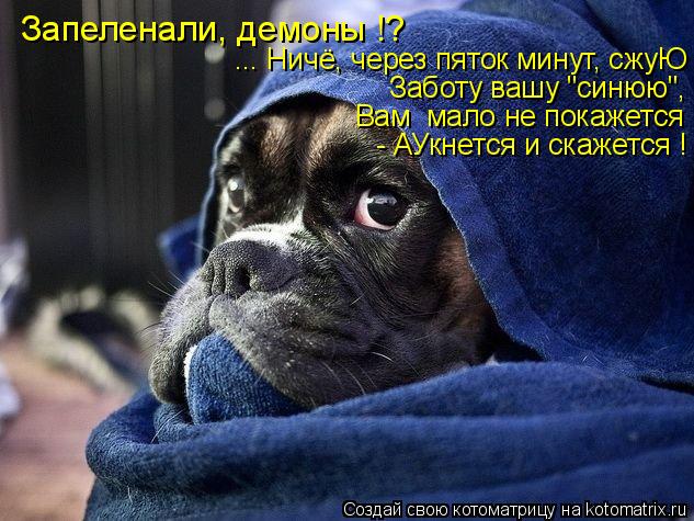 Запеленали, демоны !? ... Ничё, через пяток минут, сжуЮ Заботу вашу "синюю", Вам мало не покажется ... Котоматрица: Запеленали, демоны !? ... Ничё, через пяток минут, сжуЮ Заботу вашу "синюю", Вам мало не покажется - АУкнется и скажется !