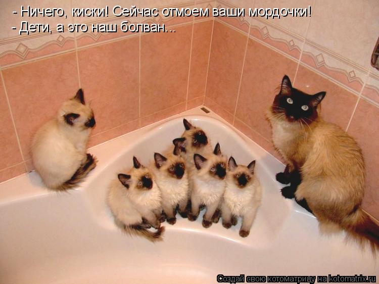 - Ничего, киски! Сейчас отмоем ваши мордочки! - Дети, а это наш болван...... Котоматрица: - Ничего, киски! Сейчас отмоем ваши мордочки! - Дети, а это наш болван...