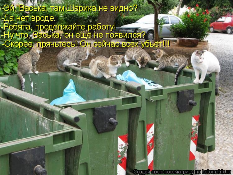 -Эй, Васька, там Шарика не видно? -Да нет вроде. -Ребята, продолжайте работу! -Скорее, прячьтесь! Он ... Котоматрица: -Эй, Васька, там Шарика не видно? -Да нет вроде. -Ребята, продолжайте работу! -Скорее, прячьтесь! Он сейчас всех убьёт!!! -Ну что, Васька, он ещё не
