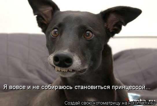 Я вовсе и не собираюсь становиться принцессой...... Котоматрица: Я вовсе и не собираюсь становиться принцессой...