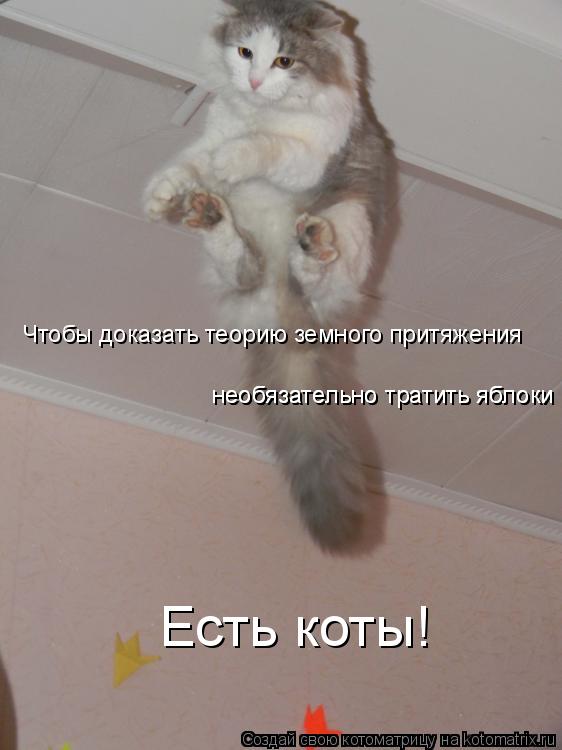 Чтобы доказать теорию земного притяжения необязательно тратить яблоки необязательно тратить яблоки Ес... Котоматрица: Чтобы доказать теорию земного притяжения необязательно тратить яблоки необязательно тратить яблоки Есть коты!
