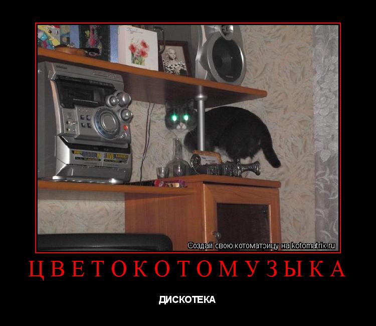 ЦВЕТОКОТОМУЗЫКА ДИСКОТЕКА... Котоматрица: ЦВЕТОКОТОМУЗЫКА ДИСКОТЕКА