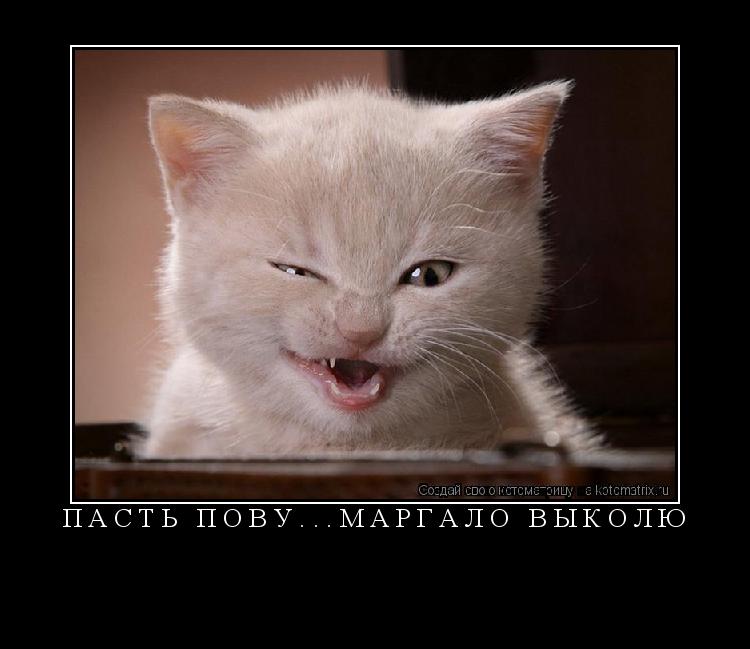 пасть пову...маргало выколю ... Котоматрица: пасть пову...маргало выколю