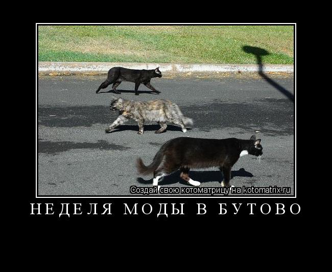 НЕДЕЛЯ МОДЫ В БУТОВО ... Котоматрица: НЕДЕЛЯ МОДЫ В БУТОВО
