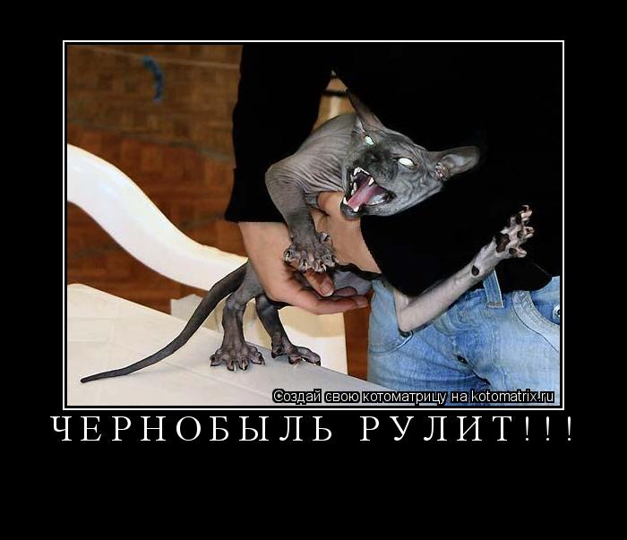ЧЕРНОБЫЛЬ РУЛИТ!!! ... Котоматрица: ЧЕРНОБЫЛЬ РУЛИТ!!!