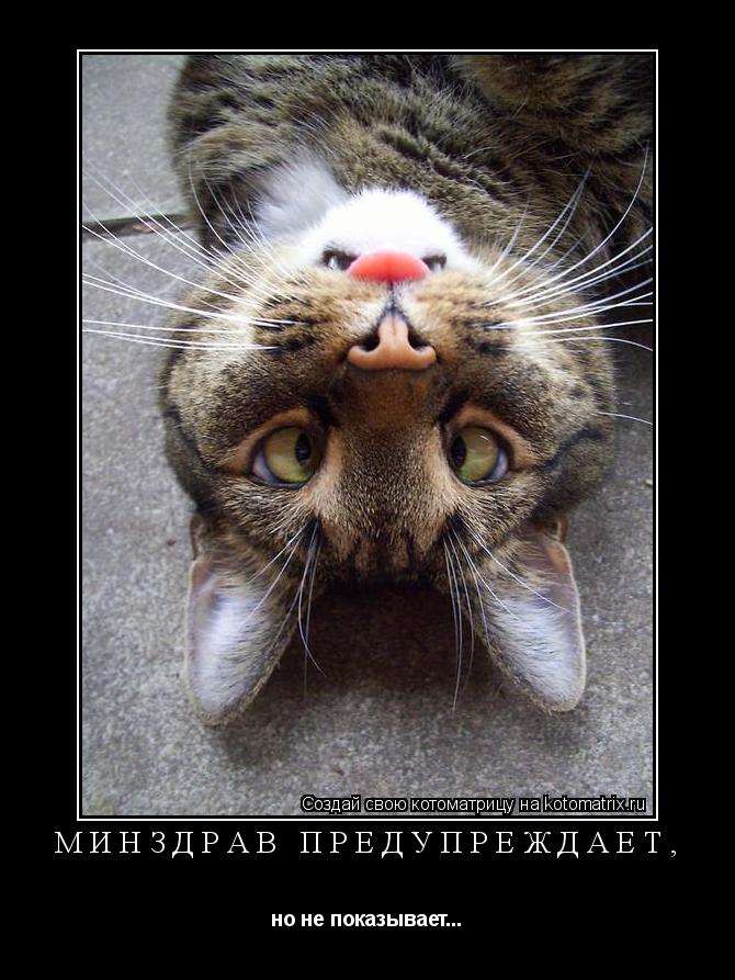 Минздрав предупреждает, но не показывает...... Котоматрица: Минздрав предупреждает, но не показывает...