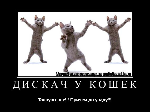 Дискач у кошек Танцуют все!!! Причем до упаду!!!... Котоматрица: Дискач у кошек Танцуют все!!! Причем до упаду!!!