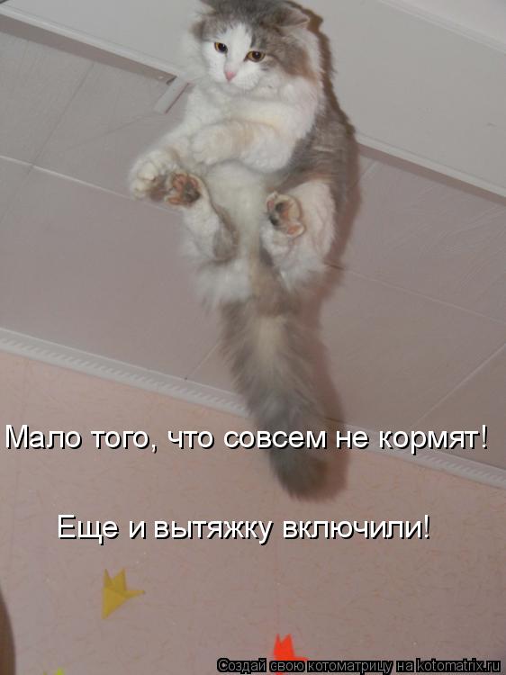 Котоматрица: Мало того, что совсем не кормят! Еще и вытяжку включили!