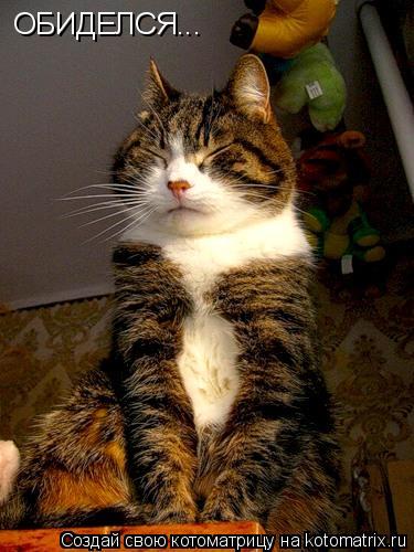 ОБИДЕЛСЯ...... Котоматрица: ОБИДЕЛСЯ...