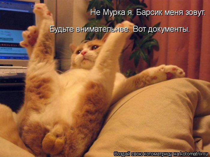 Не Мурка я. Барсик меня зовут. Будьте внимательнее. Вот документы.... Котоматрица: Не Мурка я. Барсик меня зовут. Будьте внимательнее. Вот документы.