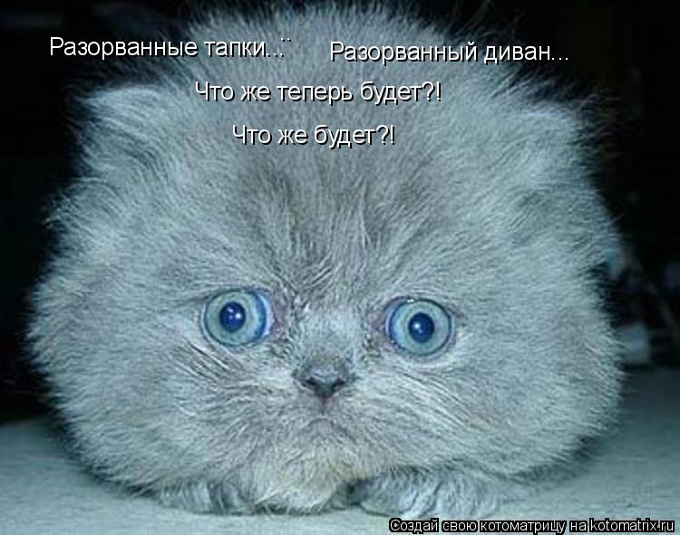 Разорванный диван... Что же теперь будет?! Что же будет?! Разорванные тапки...... Котоматрица: Разорванный диван... Что же теперь будет?! Что же будет?! Разорванные тапки...