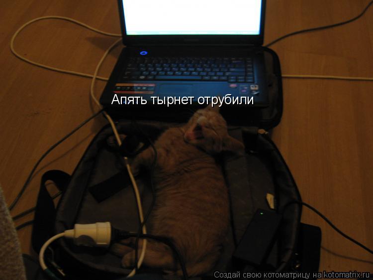 Котоматрица: Апять тырнет отрубили