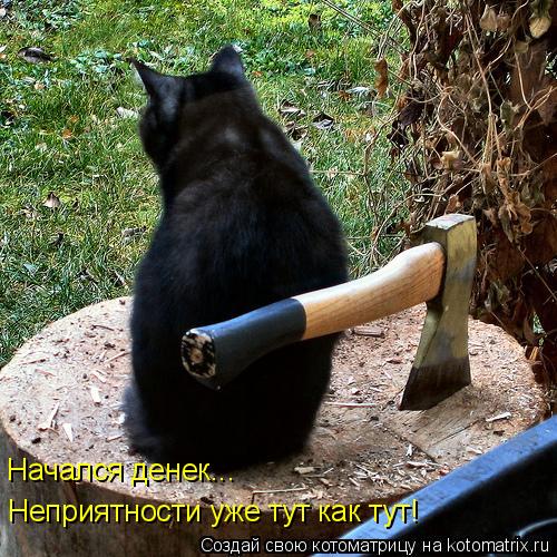 Котоматрица: Начался денек... Неприятности уже тут как тут!