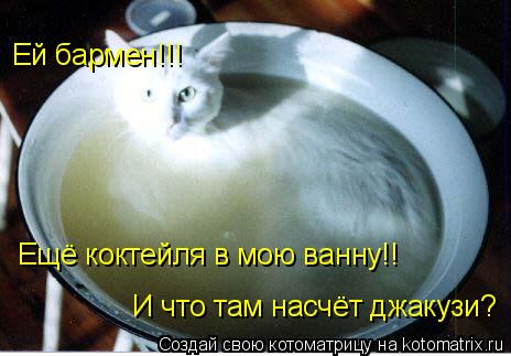 Котоматрица: Ей бармен!!! Ещё коктейля в мою ванну!! И что там насчёт джакузи?