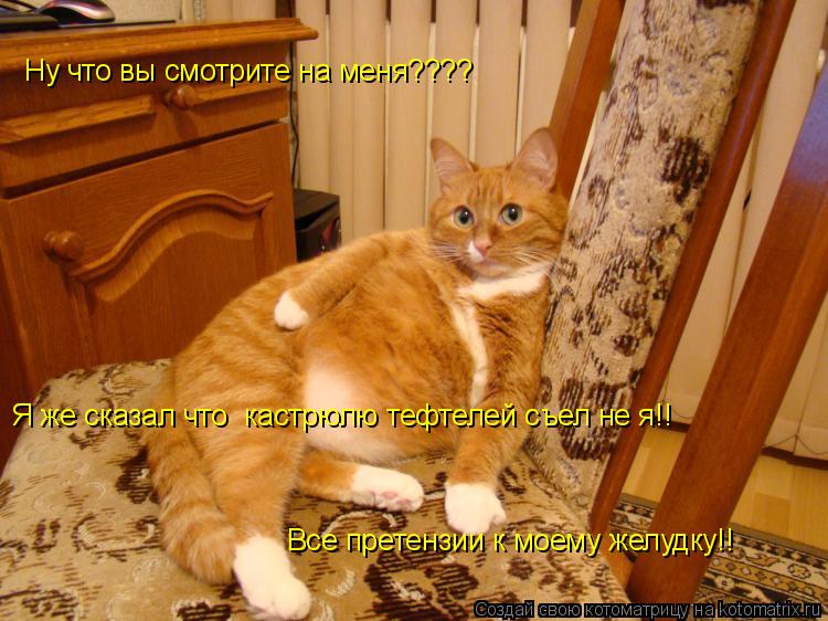 Котоматрица: Ну что вы смотрите на меня???? Я же сказал что  кастрюлю тефтелей съел не я!! Все претензии к моему желудку!!