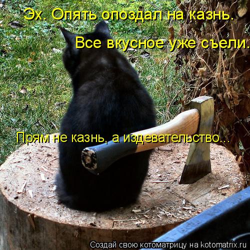 Эх. Опять опоздал на казнь. Все вкусное уже съели. Прям не казнь, а издевательство...... Котоматрица: Эх. Опять опоздал на казнь. Все вкусное уже съели. Прям не казнь, а издевательство...