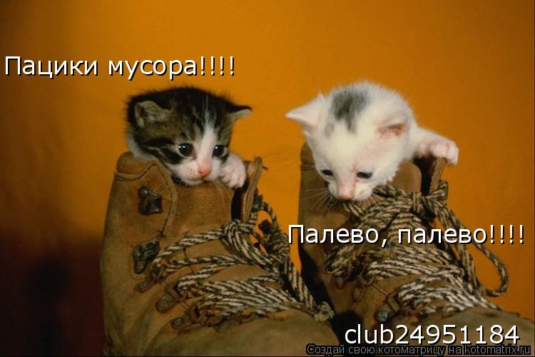 Котоматрица: Пацики мусора!!!! Палево, палево!!!! club24951184
