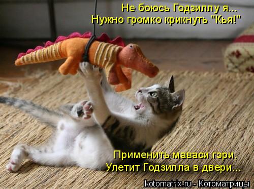 Котоматрица: Не боюсь Годзиллу я... Нужно громко крикнуть "Кья!" Применить маваси гэри, Улетит Годзилла в двери...