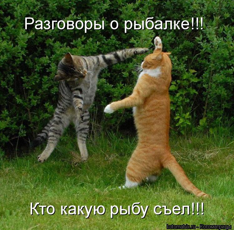 Котоматрица: Разговоры о рыбалке!!! Кто какую рыбу съел!!!