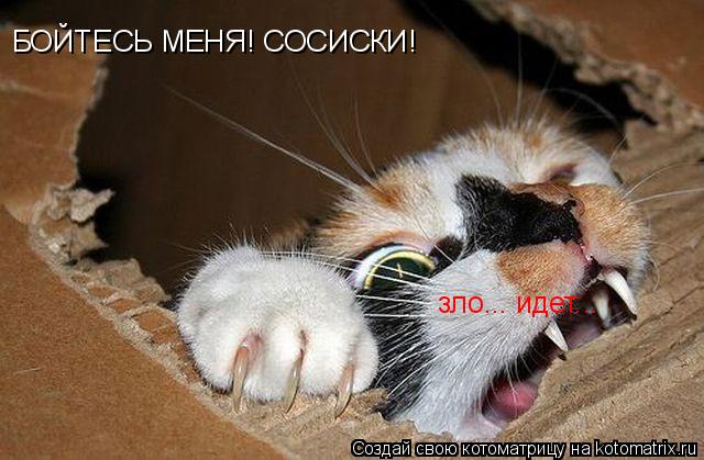 Котоматрица: БОЙТЕСЬ МЕНЯ! СОСИСКИ! зло... идет...