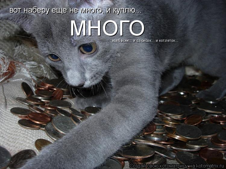 Котоматрица: вот наберу еще не много, и куплю... МНОГО колбаски... и сосисок... и котлеток...