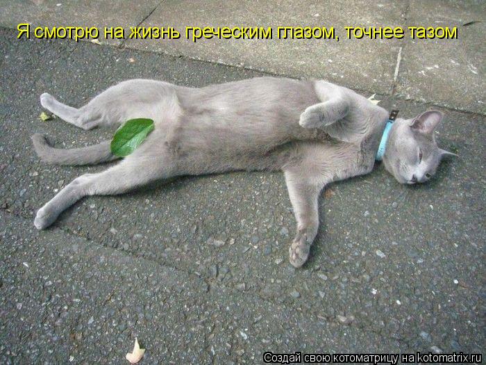 Я смотрю на жизнь греческим глазом, точнее тазом... Котоматрица: Я смотрю на жизнь греческим глазом, точнее тазом