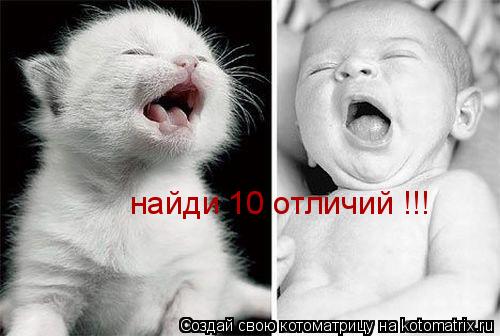 найди 10 отличий !!!... Котоматрица: найди 10 отличий !!!