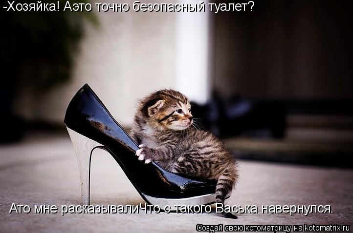 -Хозяйка! Аэто точно безопасный туалет? Ато мне расказывалиЧто с такого Васька навернулся.... Котоматрица: -Хозяйка! Аэто точно безопасный туалет? Ато мне расказывалиЧто с такого Васька навернулся.