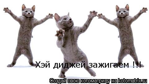 -Хэй диджей зажигаем !!!... Котоматрица: -Хэй диджей зажигаем !!!