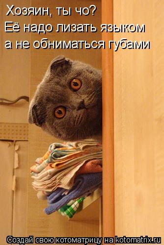 Хозяин, ты чо? Её надо лизать языком а не обниматься губами... Котоматрица: Хозяин, ты чо? Её надо лизать языком а не обниматься губами