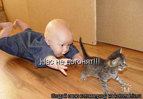Нас не догонят!!!... Котоматрица: Нас не догонят!!!