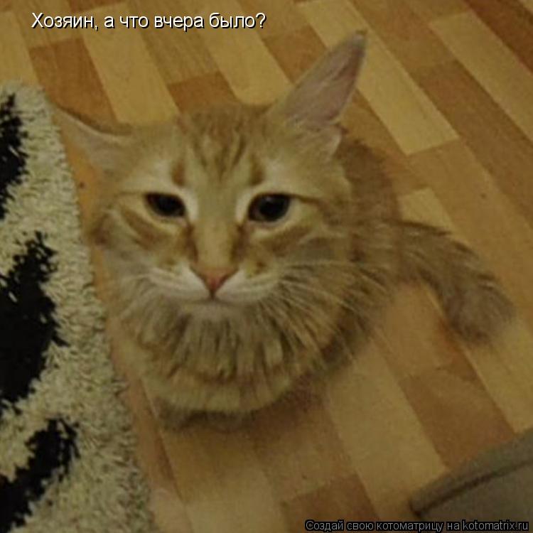 Хозяин, а что вчера было?... Котоматрица: Хозяин, а что вчера было?