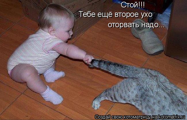 Стой!!! Тебе ещё второе ухо оторвать надо...... Котоматрица: Стой!!! Тебе ещё второе ухо оторвать надо...