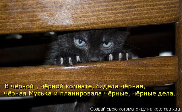 В чёрной , чёрной комнате, сидела чёрная, чёрная Муська и планировала чёрные, чёрные дела...... Котоматрица: В чёрной , чёрной комнате, сидела чёрная, чёрная Муська и планировала чёрные, чёрные дела...