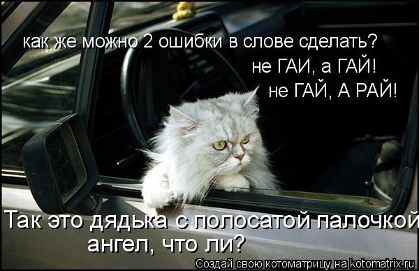 как же можно 2 ошибки в слове сделать? не ГАИ, а ГАЙ! не ГАЙ, А РАЙ! Так это дядька с полосатой палоч... Котоматрица: как же можно 2 ошибки в слове сделать? не ГАИ, а ГАЙ! не ГАЙ, А РАЙ! Так это дядька с полосатой палочкой - ангел, что ли?
