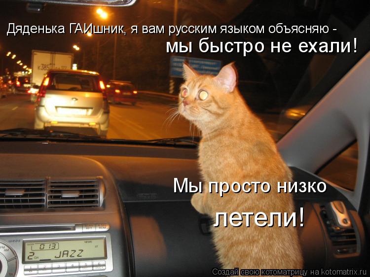 Дяденька ГАИшник, я вам русским языком объясняю - мы быстро не ехали! Мы просто низко летели!... Котоматрица: Дяденька ГАИшник, я вам русским языком объясняю - мы быстро не ехали! Мы просто низко летели!